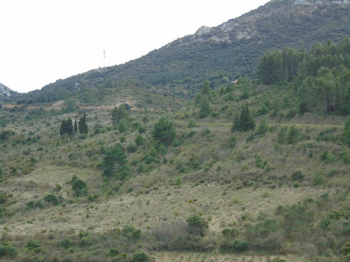 Gite La Tramontane Cucugnan Exterior foto